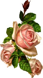 File:GregCiesielski Rose 19830607 1 Logo.jpg
