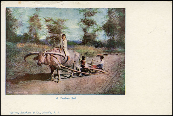 File:GregCiesielski WestVirginia CA5 19091102 1 Front.jpg