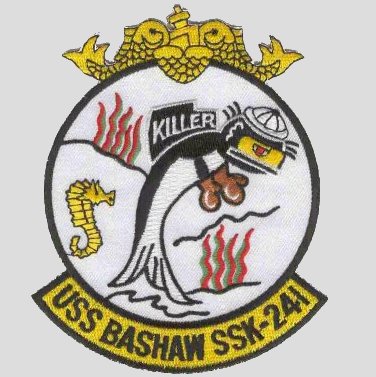 File:BASHAW SSK PATCH.jpg
