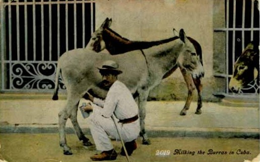 File:JonBurdett newjersey bb16 19150213 back.jpg