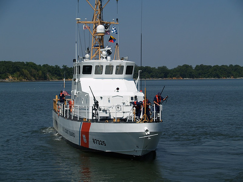 File:Beluga WPB87325 Photo.jpg