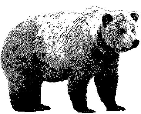 File:Bear Crest.jpg