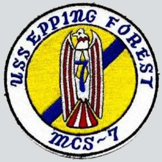 File:EPPING FOREST MCS PATCH.jpg