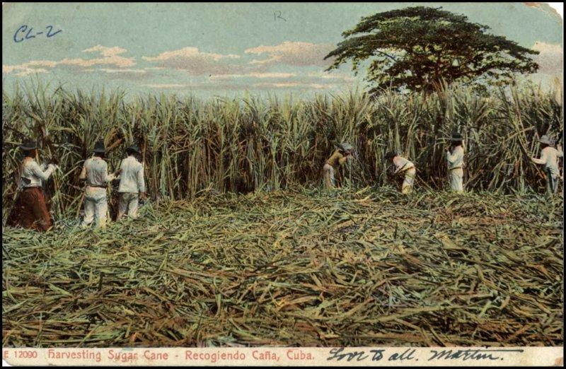 File:GregCiesielski Birmingham CL2 19110114 1 Front.jpg