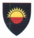 File:Z-1 PATCH.jpg
