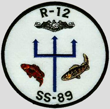 File:R-12 PATCH.jpg