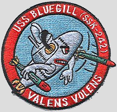 File:BLUEGILL SSK PATCH.jpg