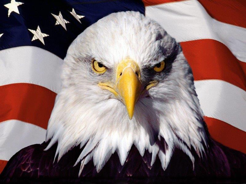 File:Eagle Crest.jpg