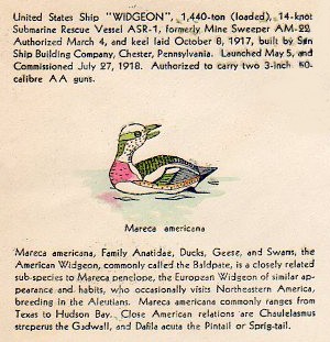 File:JonBurdett widgeon asr1 19410226 cach.jpg