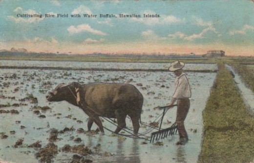 File:JonBurdett concord cl10 19250708 back.jpg