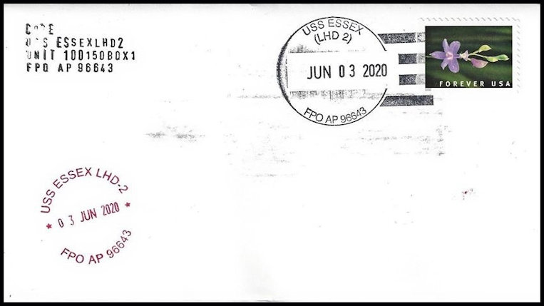 File:GregCiesielski Essex LHD2 20200603 1 Back.jpg