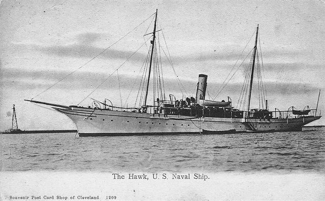 File:Hawk PC.jpg