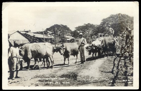 File:GregCiesielski Olympia CL15 19220202 1 Front.jpg