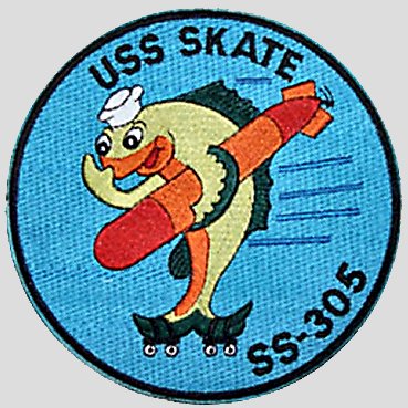 File:SKATE PATCH.jpg