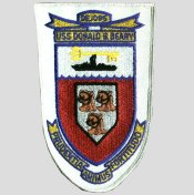 File:DONALD B BEARY DE PATCH.jpg