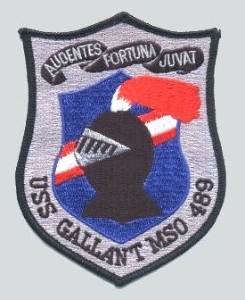 File:GALLANT MSO PATCH.jpg