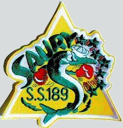 File:SAURY PATCH.jpg