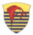 File:Z-5 PATCH.jpg