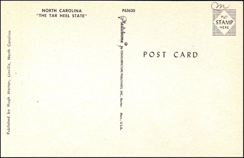 File:GregCiesielski NorthCarolina BB55 PC 42 Back.jpg