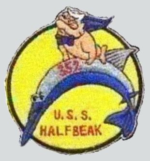 File:Halfbeak patch.jpg