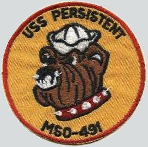 File:Persistent MSO491 Crest.jpg
