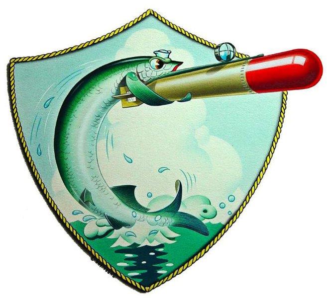 File:Halfbeak patch 1.jpg