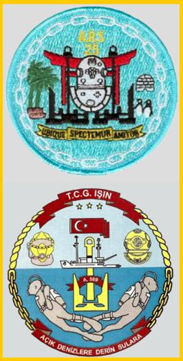 File:Safeguard ARS25 Crest.jpg