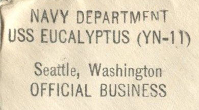File:JonBurdett eucalyptus yn11 19431022 cc.jpg