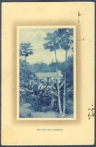 File:GregCiesielski Tallahassee BM9 19190316 1 Front.jpg