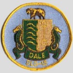 File:DALE CG PATCH.jpg