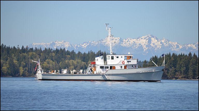 File:GregCiesielski Cape MSI2 2020 2 Front.jpg