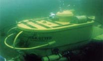 File:GregCiesielski SeaOtter 19740108 1 Back.jpg
