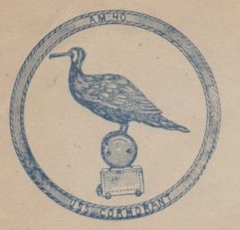 File:JonBurdett cormorant am40 19340704 cach.jpg