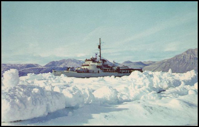 File:GregCiesielski StatenIsland AGB5 19570101 1 Back.jpg