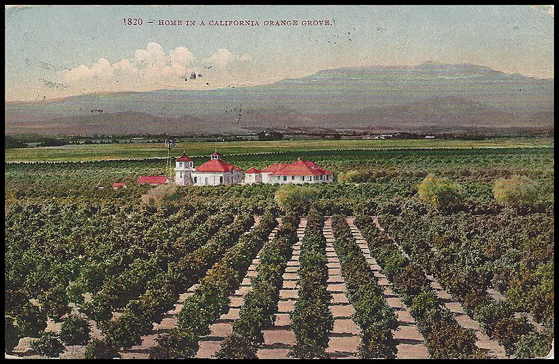 File:JonBurdett cheyenne bm10 19090528 back.jpg