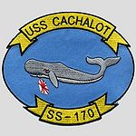 Cachalot ss170 patch.jpg