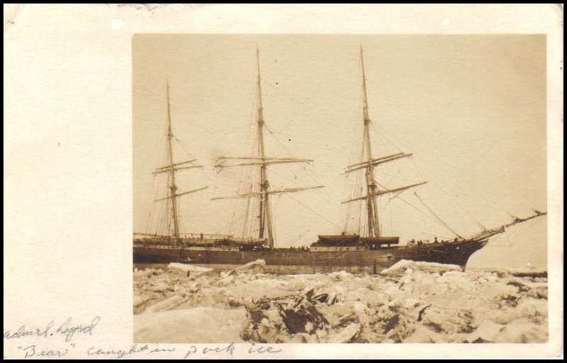 File:GregCiesielski Bear AG29 1930 1 Front.jpg