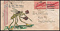 Thumbnail for version as of 05:58, 23 December 2015