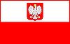 GregCiesielski Poland 1 Flag.jpg