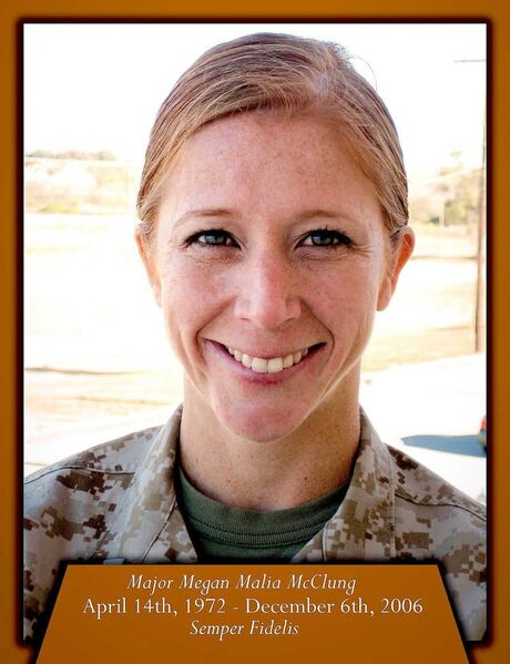 File:McClung LSM1 1 Photo.jpg